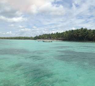 Saona
