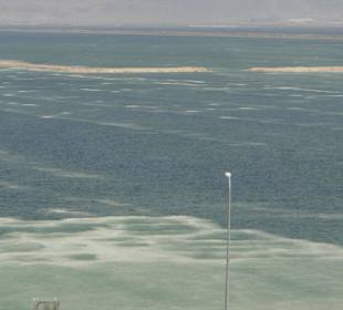 Już widać oleistość