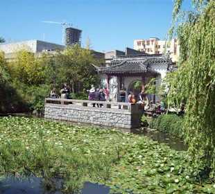 Der Ausgang und der Teich