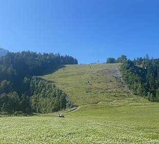 Wandern Hermagor - Pressegger See