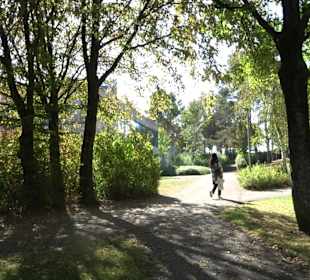 Baumlehrpfad Zollertal