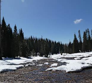 Kleiner Bach durch den Sequoia NP