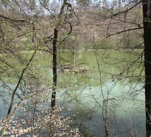 Rohrwiesensee