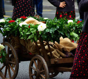 Heimat und Volkstrachtenverein Neunhof m.Wagen