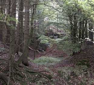 Wandern Zella-Mehlis