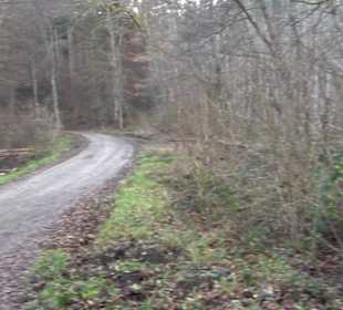 Schönbuch Schaichtal