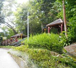 King’s Park