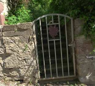 Burg Hohenberg