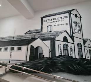 Stadtrundgang Playa del Ingles