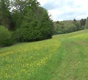 Naturpark Schönbuch