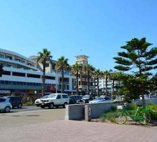 Bondi Beach 