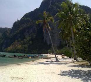 Phi Phi Island