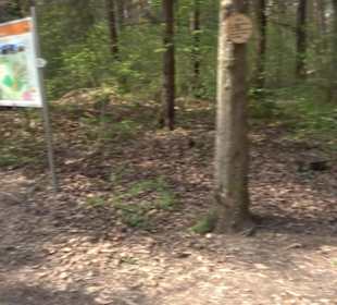 Wanderparkplatz am Waldlehrpfad