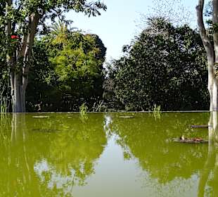 Botanischer Garten Puerto de la Cruz