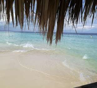 Paradiesinsel Ausflug