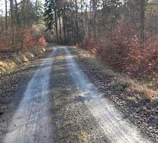 Wanderung rund um den Ochsenweiher
