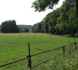 Waldlehrpfad St. Johann