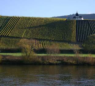 Schöne Ausblicke, die Mosel bei Alf