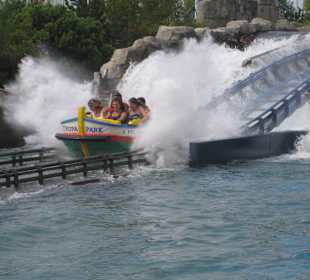 Immer eine Reise wert