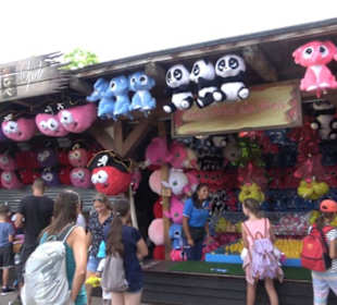 Land der Abenteuer - Safari Tour