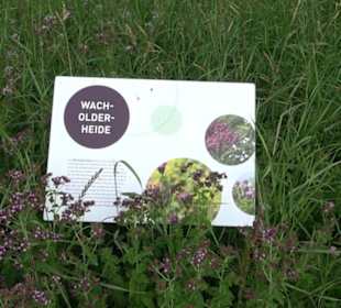 ALB-GOLD Naturgarten