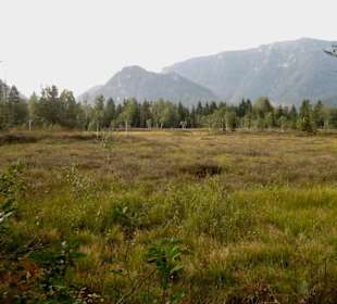 Blick übers Moor