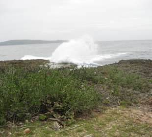 Auf dem WEg zum El Capito