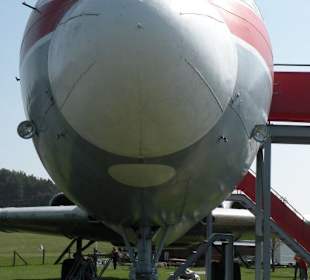 Auge in Auge mit Lady Agnes