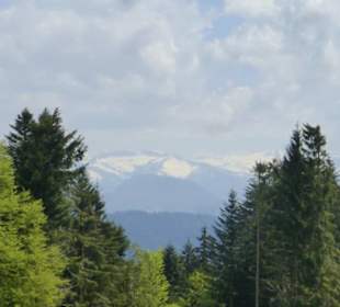 Wanderung am Pfänder