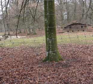 Wildpark Eichert