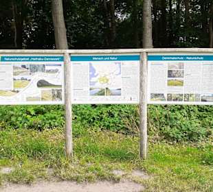 Museum Danevirke Dannewerk