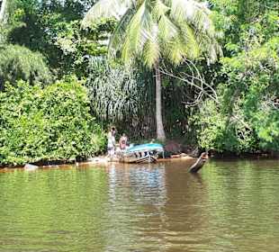 Mangrovenfahrt mit Gayan
