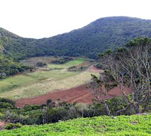 Inselrundfahrt Terceira