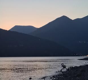 Lago Maggiore