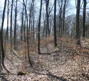 Am Keltenwall auf dem Schwanberg