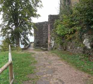 Burgruine Hohenschramberg