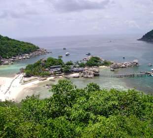 View Point