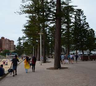 Manly Beach