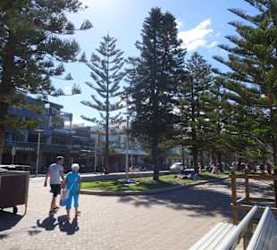 Stadtrundgang Sydney