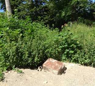 Burg Hölnstein Stetten u. Holstein