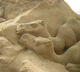 Krippe aus Sand