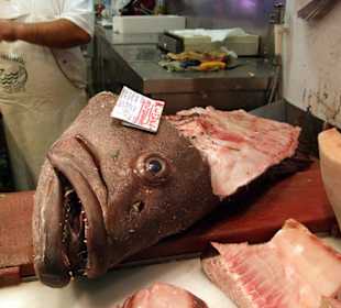 Ein Fisch für die ganze Familie