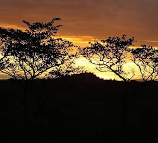 Auf Nachtsafari im Krüger-Park