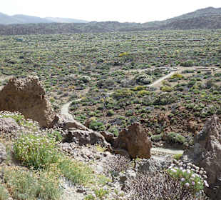 Nationalpark --> Teide