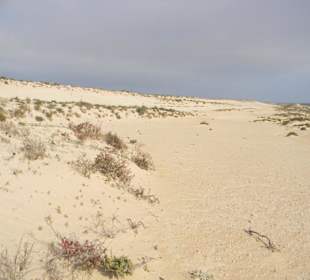 Spanische Sahara  - La Pared