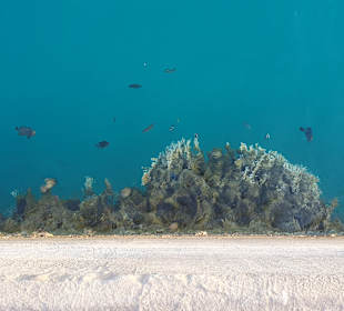 Yachthafen Port Ghalib