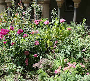 Im Garten / Kreuzgang von St. Maria im Kapitol