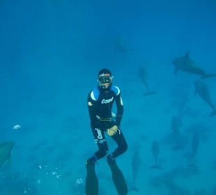 Delfinschnorcheln mit den Dolphin Dancers, 2012