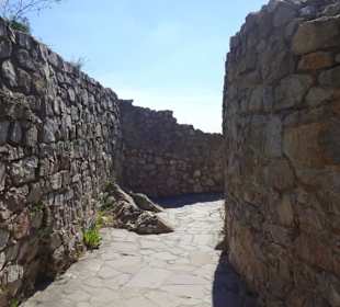 Burg