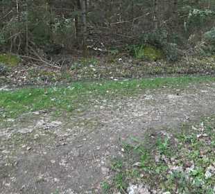 Walderlebnisweg Rottenburg